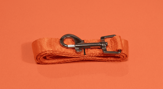Peitoral e Guia com Mochila Portes Pequenos