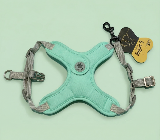 Peitoral X para Pequenos Portes