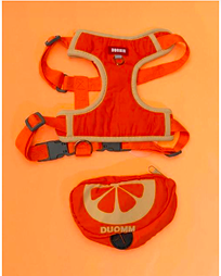 Peitoral e guia com mochila portes pequenos