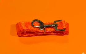 Peitoral e guia com mochila portes pequenos