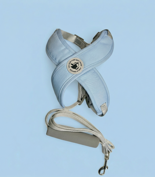 Peitoral Ajustável para Passeio Pequenos Portes
