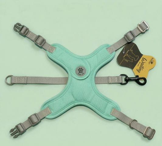 Peitoral X para Pequenos Portes