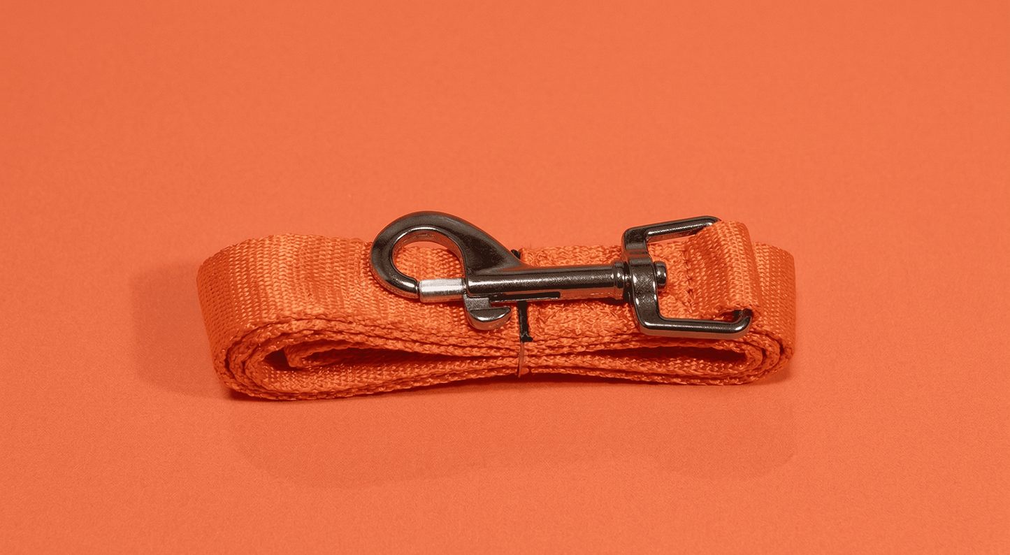 Peitoral e Guia com Mochila Portes Pequenos